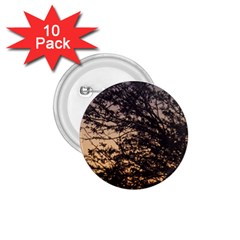 Arizona Sunset 1.75  Buttons (10 pack)