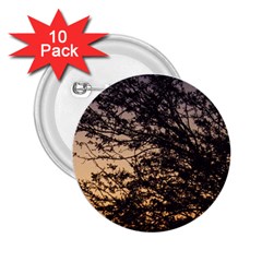 Arizona Sunset 2.25  Buttons (10 pack) 