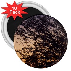 Arizona Sunset 3  Magnets (10 Pack)  by JellyMooseBear