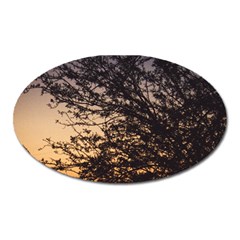 Arizona Sunset Oval Magnet