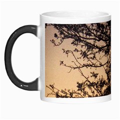 Arizona Sunset Morph Mugs