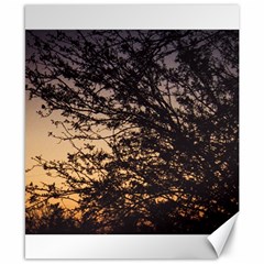 Arizona Sunset Canvas 8  x 10 