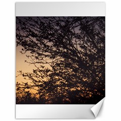 Arizona Sunset Canvas 12  X 16   by JellyMooseBear