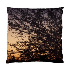 Arizona Sunset Standard Cushion Case (two Sides) by JellyMooseBear