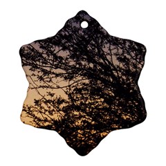 Arizona Sunset Snowflake Ornament (Two Sides)