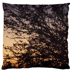 Arizona Sunset Large Cushion Case (Two Sides)