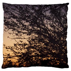 Arizona Sunset Large Flano Cushion Case (One Side)