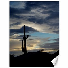 Cactus Sunset Canvas 36  X 48   by JellyMooseBear