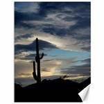 Cactus Sunset Canvas 36  x 48   35.26 x46.15  Canvas - 1