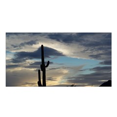 Cactus Sunset Satin Shawl