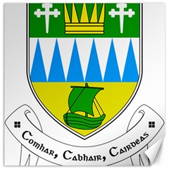 Coat Of Arms Of County Kerry Canvas 20  X 20   by abbeyz71