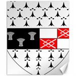 County Kilkenny Coat of Arms Canvas 8  x 10  8.15 x9.66  Canvas - 1