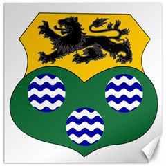 County Leitrim Coat of Arms Canvas 16  x 16  