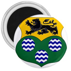 County Leitrim Coat Of Arms  3  Magnets by abbeyz71