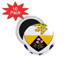 County Offaly Coat of Arms  1.75  Magnets (10 pack) 