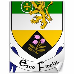 County Offaly Coat of Arms  Canvas 18  x 24  