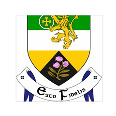 County Offaly Coat of Arms  Small Satin Scarf (Square)