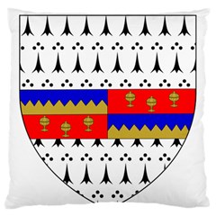 County Tipperary Coat Of Arms  Standard Flano Cushion Case (two Sides) by abbeyz71