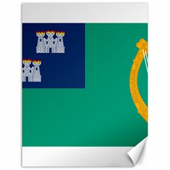 City Of Dublin Flag Canvas 12  X 16   by abbeyz71