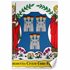 City Of Dublin Coat Of Arms  Canvas 20  X 30   by abbeyz71