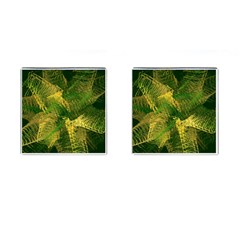 Green And Gold Abstract Cufflinks (Square)