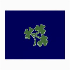 Flag Of Ireland Cricket Team Small Glasses Cloth by abbeyz71