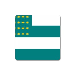 Flag Of Fenian Brotherhood Square Magnet by abbeyz71