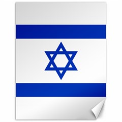 Flag Of Israel Canvas 12  X 16   by abbeyz71
