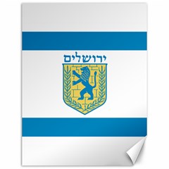 Flag Of Jerusalem Canvas 12  X 16   by abbeyz71