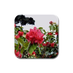 Virginia Waters Flowers Rubber Square Coaster (4 Pack)  by DeneWestUK