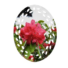 Virginia Waters Flowers Oval Filigree Ornament (two Sides) by DeneWestUK