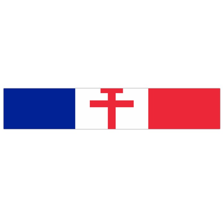 Flag of Free France (1940-1944) Flano Scarf (Large)