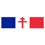 Flag of Free France (1940-1944) Satin Scarf (Oblong) Front