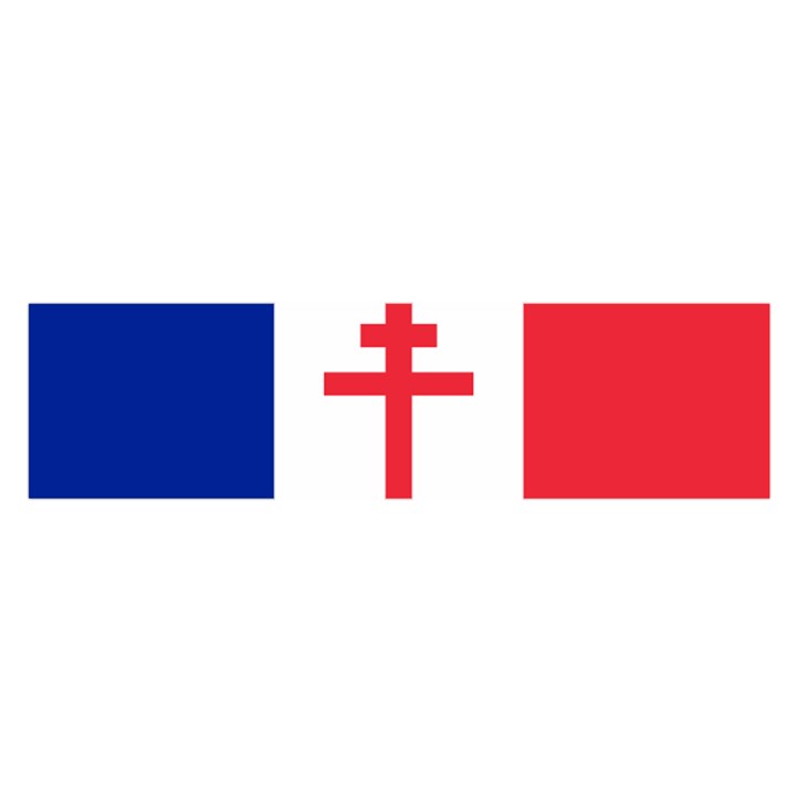 Flag of Free France (1940-1944) Satin Scarf (Oblong)