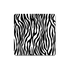 Zebra Stripes Pattern Traditional Colors Black White Square Magnet by EDDArt