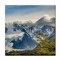 Snowy Andes Mountains, El Chalten Argentina Face Towel by dflcprints