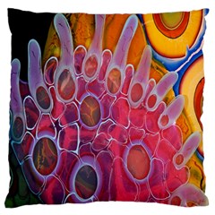 Micro Macro Belle Fisher Nature Stone Large Flano Cushion Case (one Side)