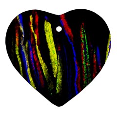 Multicolor Lineage Tracing Confetti Elegantly Illustrates Strength Combining Molecular Genetics Micr Heart Ornament (two Sides) by Mariart