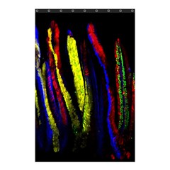 Multicolor Lineage Tracing Confetti Elegantly Illustrates Strength Combining Molecular Genetics Micr Shower Curtain 48  X 72  (small)  by Mariart