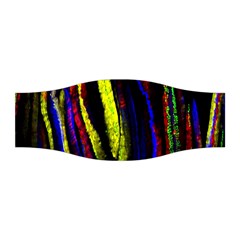 Multicolor Lineage Tracing Confetti Elegantly Illustrates Strength Combining Molecular Genetics Micr Stretchable Headband