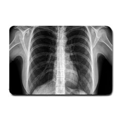 X Ray Small Doormat 