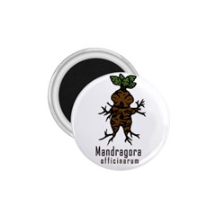 Mandrake Plant 1 75  Magnets by Valentinaart