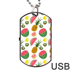 Fruits Pattern Dog Tag Usb Flash (two Sides) by Nexatart