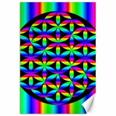 Rainbow Flower Of Life In Black Circle Canvas 20  X 30   by Nexatart