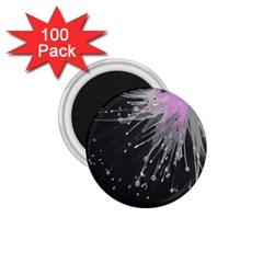 Big Bang 1 75  Magnets (100 Pack)  by ValentinaDesign