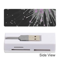 Big bang Memory Card Reader (Stick) 