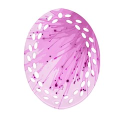 Big Bang Ornament (oval Filigree) by ValentinaDesign