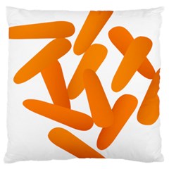 Carrot Vegetables Orange Large Cushion Case (two Sides)