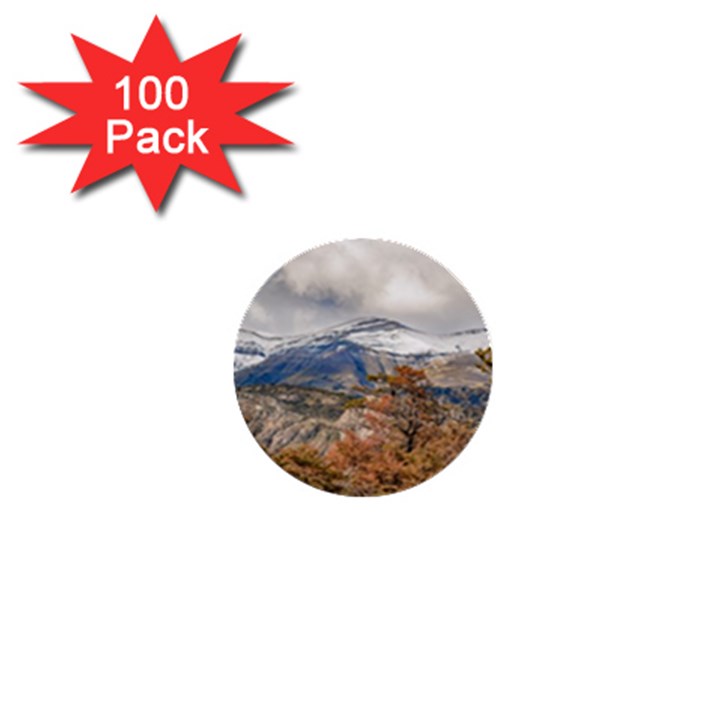 Forest And Snowy Mountains, Patagonia, Argentina 1  Mini Buttons (100 pack) 