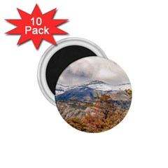 Forest And Snowy Mountains, Patagonia, Argentina 1 75  Magnets (10 Pack)  by dflcprints